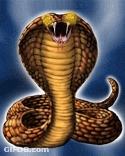 A Snake With Its Mouth Open And Blood Coming Out Of It GIF