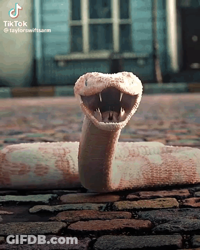 A Snake With Its Mouth Open On A Cobblestone Road GIF