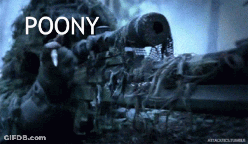 A Sniper In A Camouflage Uniform Is Holding A Rifle With The Word Poony Above It GIF