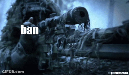 A Sniper In A Ghillie Suit Is Pointing A Gun And The Word Ban Is Visible GIF