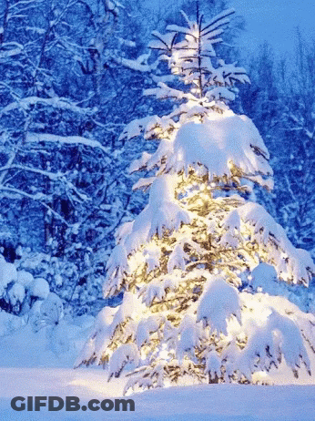 A Snow Covered Christmas Tree Is Lit Up In The Snow GIF