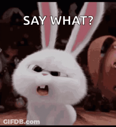 Snowball From Secret Life Of Pets Saying Say What GIF