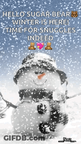 A Snowman With A Hat And Scarf Is Standing In The Snow GIF
