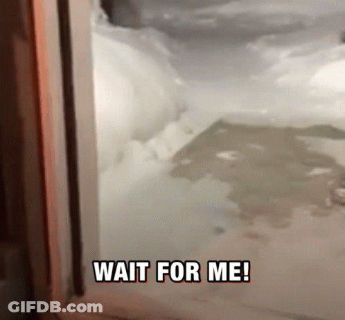 A Snowy Area With The Words Wait For Me Written Above It GIF
