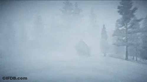 A Snowy Field With Trees In The Background And A Foggy Sky GIF