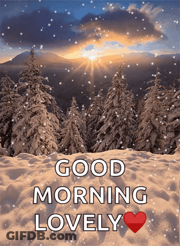 A Snowy Forest With The Words Good Morning Lovely On It GIF