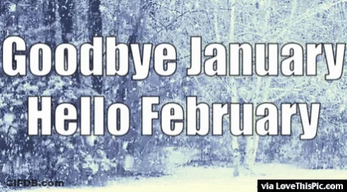 A Snowy Forest With The Words Goodbye January Hello February GIF