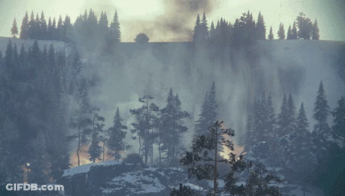 A Snowy Forest With Trees And Smoke Coming Out Of It GIF