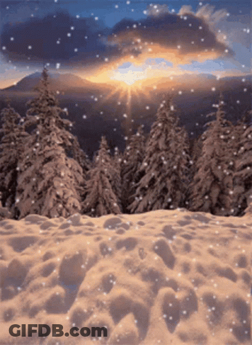 A Snowy Forest With Trees Covered In Snow And A Sunset In The Background GIF