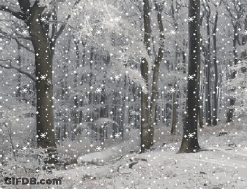 A Snowy Forest With Trees Covered In Snow And Snowflakes Falling GIF