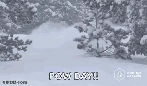 A Snowy Forest With Trees Covered In Snow And The Words Pow Day Written On The Bottom . GIF