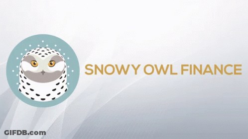 A Snowy Owl In A Blue Circle And A Snowy Owl In A Black Circle On A Gray Background GIF