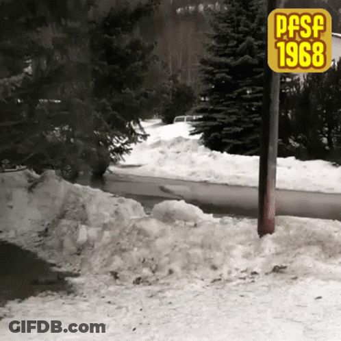 A Snowy Road With A Sign That Says Pasf 1968 On It GIF