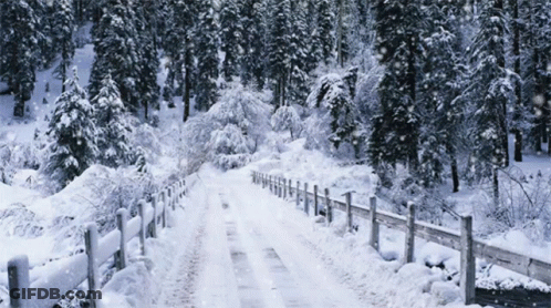 A Snowy Road With A Wooden Fence And Trees On Both Sides GIF