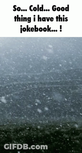 A Snowy Scene With The Words So Cold Good Thing I Have This Jokebook GIF