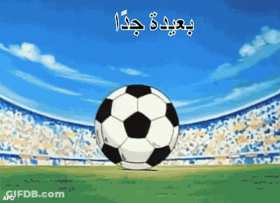 A Soccer Ball On A Field With The Word Afo On The Bottom Right GIF