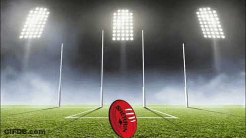 A Soccer Ball That Says Sherrin On It Is On A Field GIF