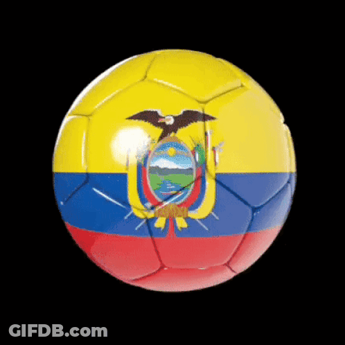 A Soccer Ball With The Ecuador Flag Painted On It GIF