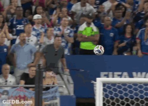 A Soccer Game Is Being Played In Front Of A Crowd With The Word Fifa On The Wall GIF