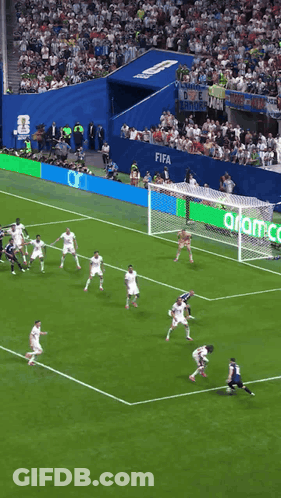 A Soccer Game Is Being Played On A Field That Has Fifa Written On The Fence GIF