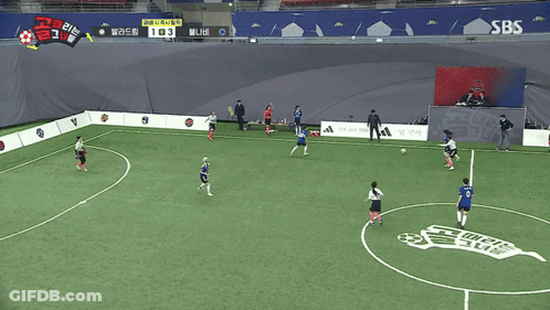 A Soccer Game Is Being Shown On Sbs And A Goal Is Being Scored GIF