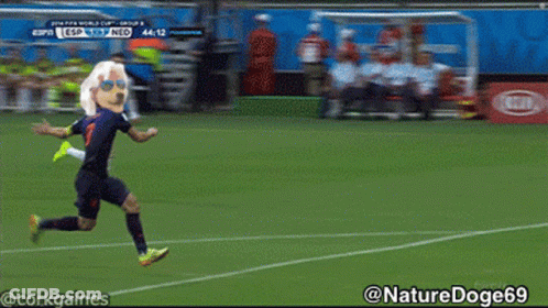 A Soccer Goal With The Word Budweiser On The Side GIF
