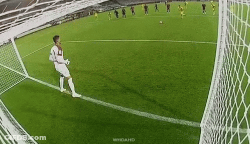 A Soccer Goalie Is Standing On The Edge Of The Goal Watching A Soccer Player Shoot The Ball . GIF