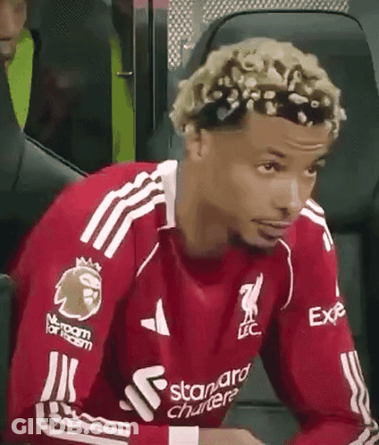 A Soccer Player Is Sitting In The Stands Wearing A Red Shirt With A Lion On It . GIF