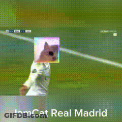 A Soccer Player With A Cat Mask On His Head And The Words Jamcat Real Madrid Below Him GIF
