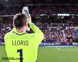 A Soccer Player With The Name Lloris On The Back Of His Shirt GIF