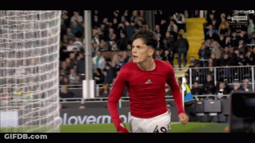 A Soccer Player With The Number 49 On His Shorts Is Celebrating A Goal GIF