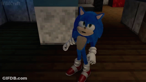 A Sonic The Hedgehog Standing In Front Of A Block That Says Wild Craft GIF