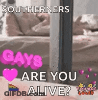 A Southerners Gays Are You Alive ? GIF