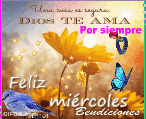 A Spanish Greeting Card With A Blue Bird And Butterflies GIF