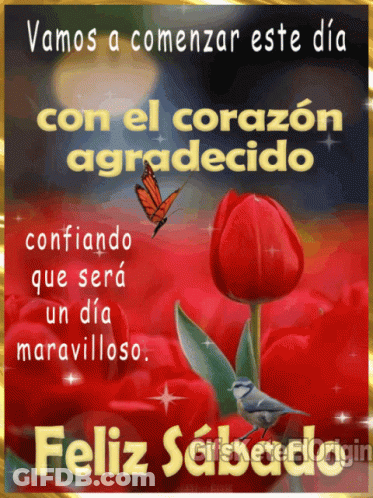 A Spanish Greeting Card With A Red Flower And A Butterfly GIF