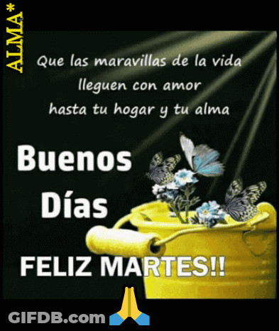 A Spanish Greeting Card With A Yellow Pot Of Flowers And Butterflies GIF