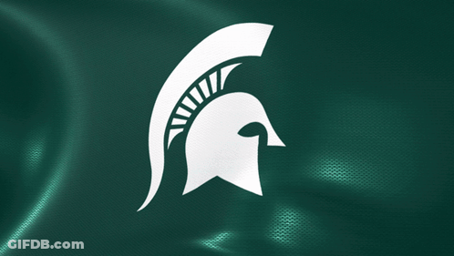 A Spartan Helmet On A Green Cloth GIF