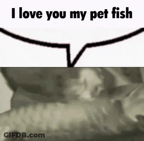 A Speech Bubble With The Words `` I Love You My Pet Fish '' Next To A Picture Of A Cat . GIF