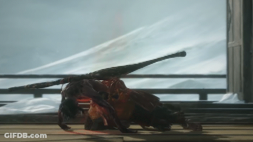 A Spider Is Crawling In Front Of A Window GIF