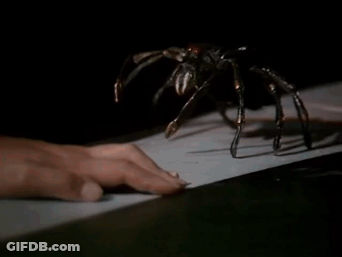 A Spider Is Crawling On A Person 'S Hand While A Person Is Typing On A Keyboard . GIF
