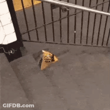 A Spider Is Crawling On A Staircase Next To A Fence . GIF