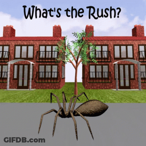 A Spider Is Standing In Front Of A Brick Building With The Words What 'S The Rush GIF