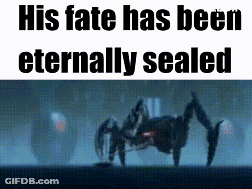 A Spider With The Words His Fate Has Been Eternally Sealed Above It GIF