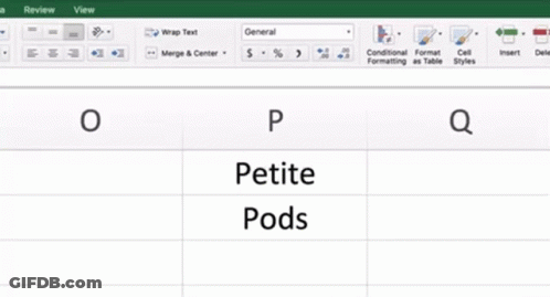 A Spreadsheet With The Words Petite Pods Written On It GIF