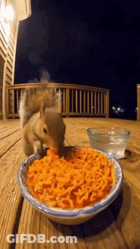 A Squirrel Is Eating Carrots From A Bowl On A Wooden Deck . GIF