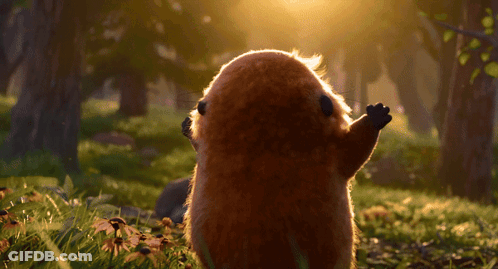 A Squirrel Is Looking At The Sun In A Forest GIF