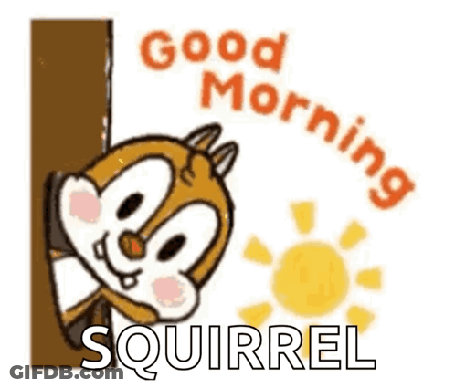 A Squirrel Is Peeking Out From Behind A Tree Trunk And Saying Good Morning . GIF