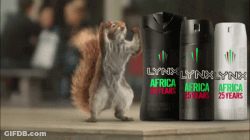 A Squirrel Is Standing Next To Lynx Africa Deodorants GIF