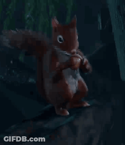 Squirrel Standing On Hind Legs With Acorn GIF