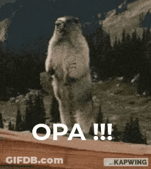 A Squirrel Is Standing On Its Hind Legs On A Wooden Fence . GIF